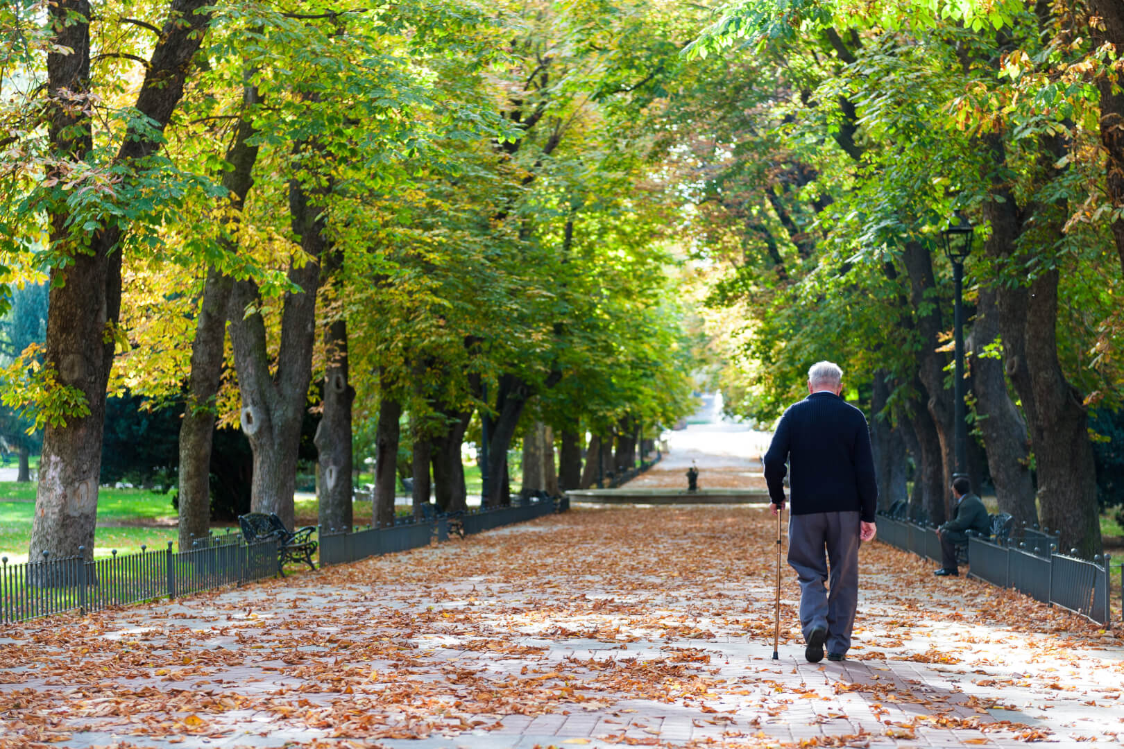 En la imagen se muestra un anciano paseando por un parque con un bastón, en un claro ejemplo de contraste con las generaciones de personas mayores de antes y las de ahora, que tienen más vitalidad y por lo general se mantienen en mejor estado físico.