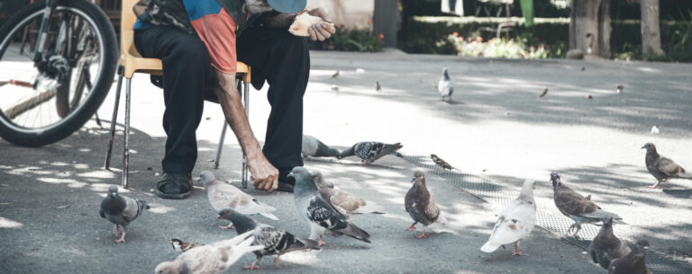 Un señor mayor dando de comer a las palomas.