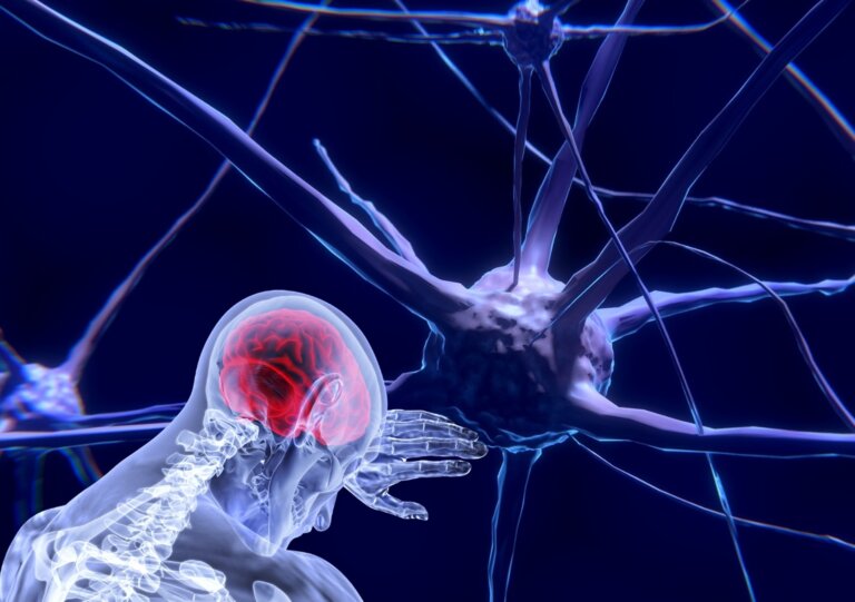 Una imagen en 3D del cerebro humano como imagen de portada del Día Internacional de la Epilepsia
