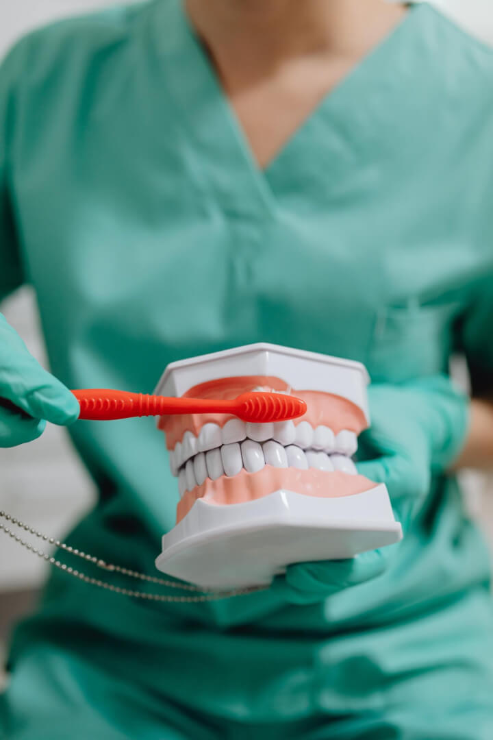Un dentista enseña una dentadura postiza. 