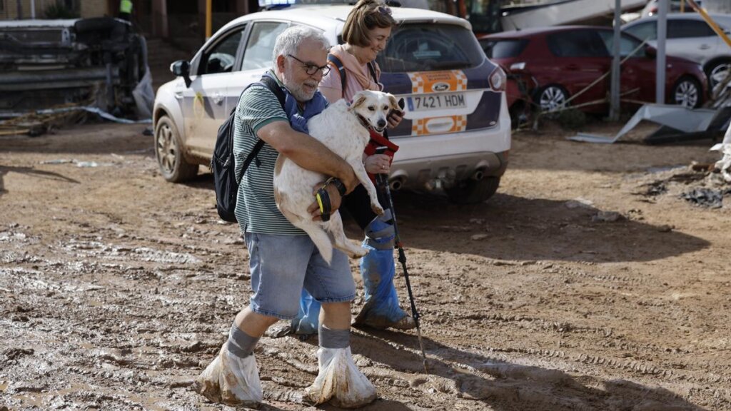 Señor en la Dana sosteniendo un perro 