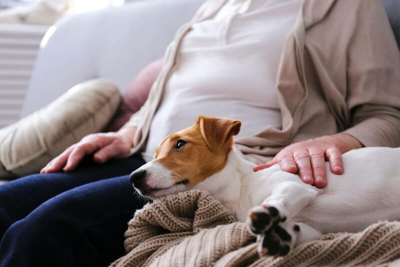 Un anciano sentado en su sofá acaricia a su perro. 