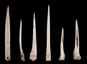 6 agujas prehistóricas hechas con hueso animal