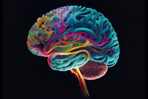 Una imagen de un cerebro humano en 3D.