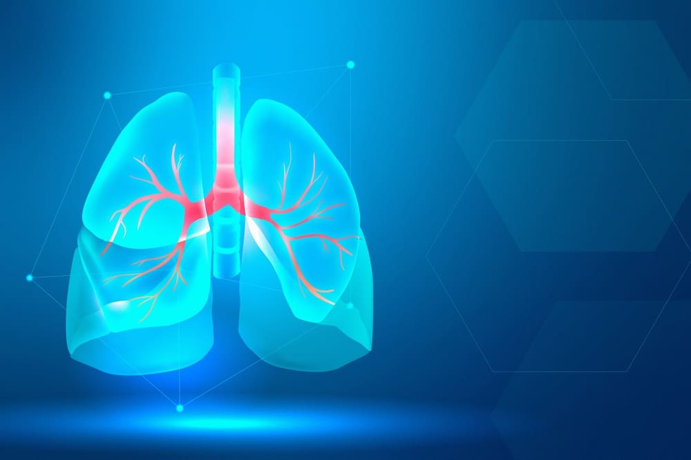 Una imagen en 3D de los pulmones del cuerpo humano. 