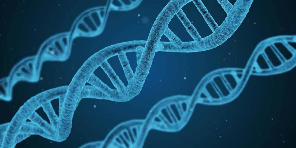Una imagen en 3D de ADN en azul. 