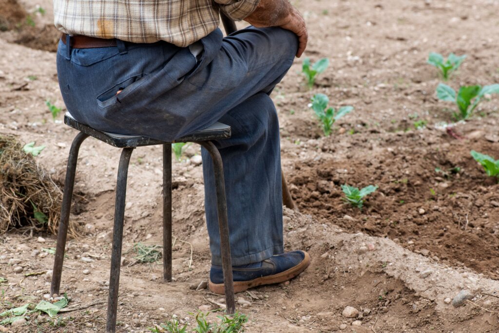 persona mayor cuidando del campo Primer plano de cintura al suelo en el que un hombre de la tercera edad campechano está sentado en una silla mirando sus tierras