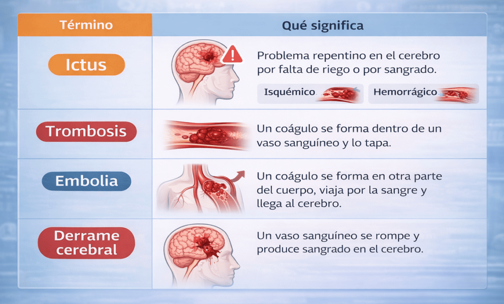 Diferencia entre un ictus, una trombosis y un derrame cerebral Diferencia entre un ictus, una trombosis y un derrame cerebral representado en imágenes en una tabla.