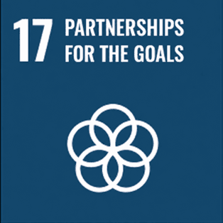 partnerships goals